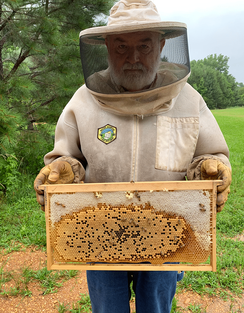 Butler Bees Vernon Alabama Jimmy Butler holding a Bee hive frame for local fresh honey