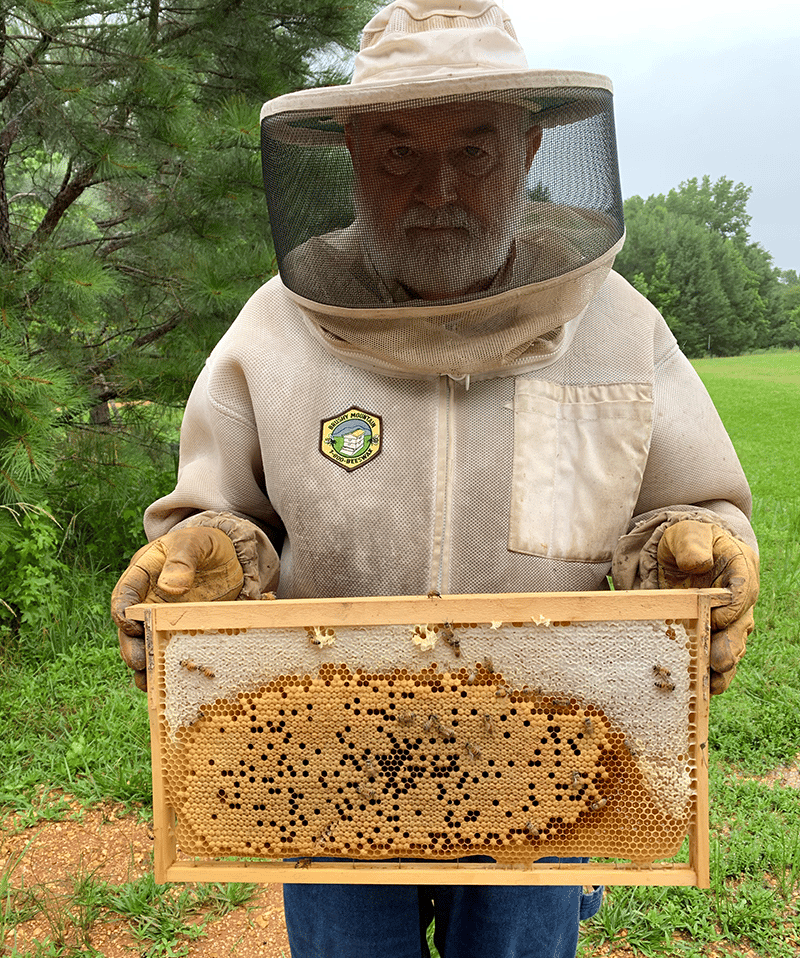 Butler Bees Vernon Alabama Jimmy Butler holding a Bee hive frame for local fresh honey