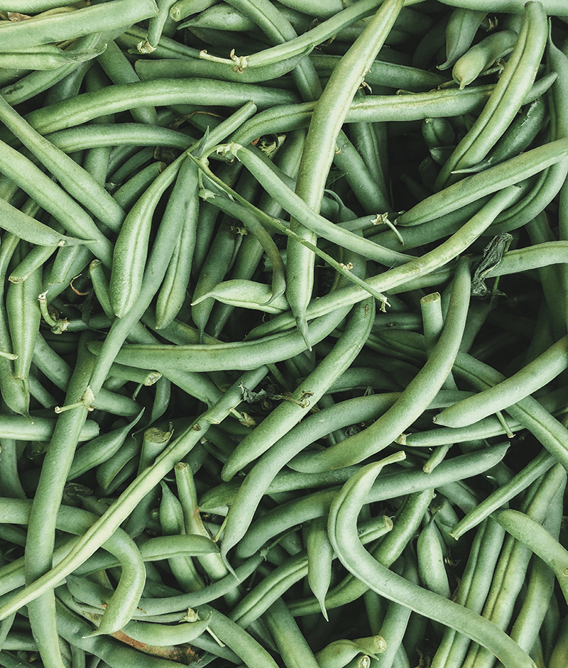 Buy Local Food AL Millport Farmers Market Green String Beans 