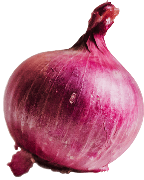 Buy Local Food Alabama Fresh red onion 