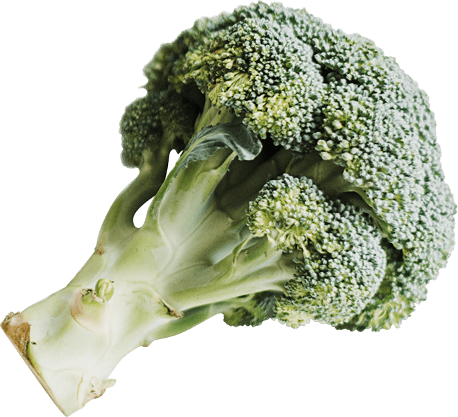 Buy Local Food Alabama Fresh Broccoli