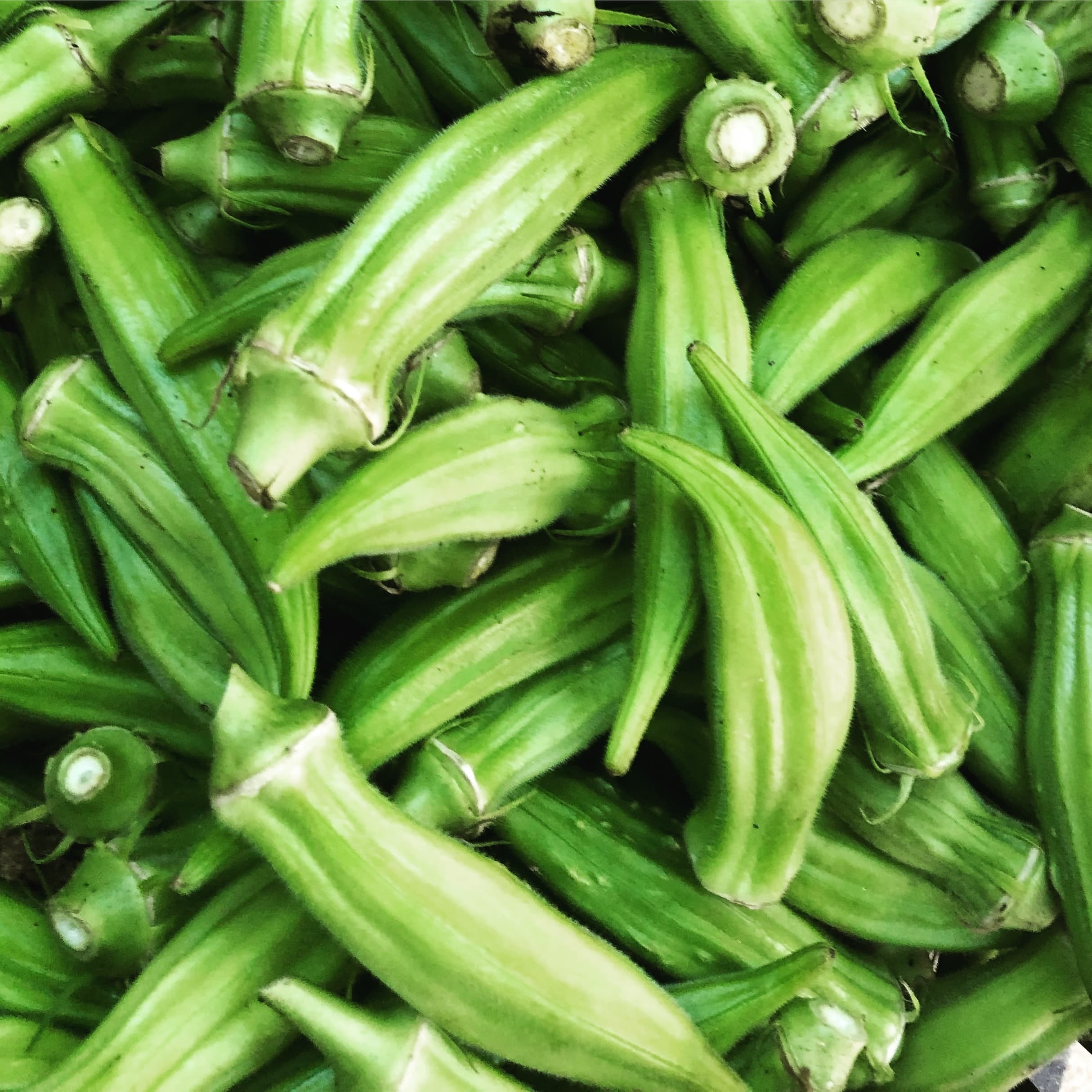 Buy Local Food Alabama fresh green okras