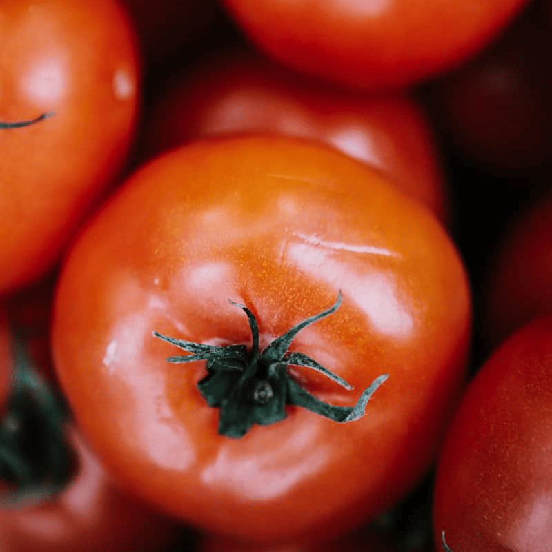 Buy Local Food Alabama fresh locally grown red tomatoes
