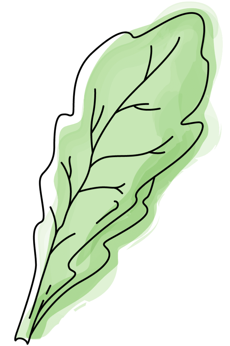 Buy Local Food Alabama graphics of a fresh leaf